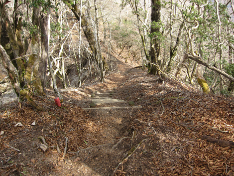 20200110hike (216)